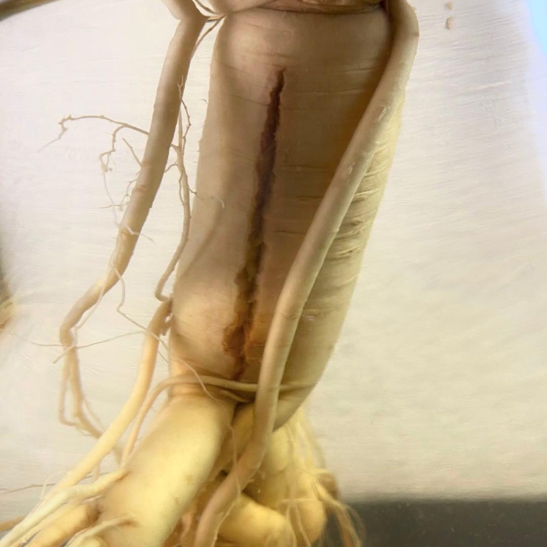 高麗人参　約40年物　古酒　ビンテージ　ガラス瓶　金色　富士商事　健康酒