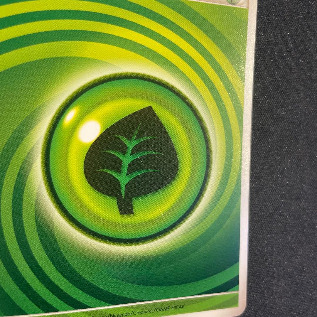 うずまきエネルギー　草