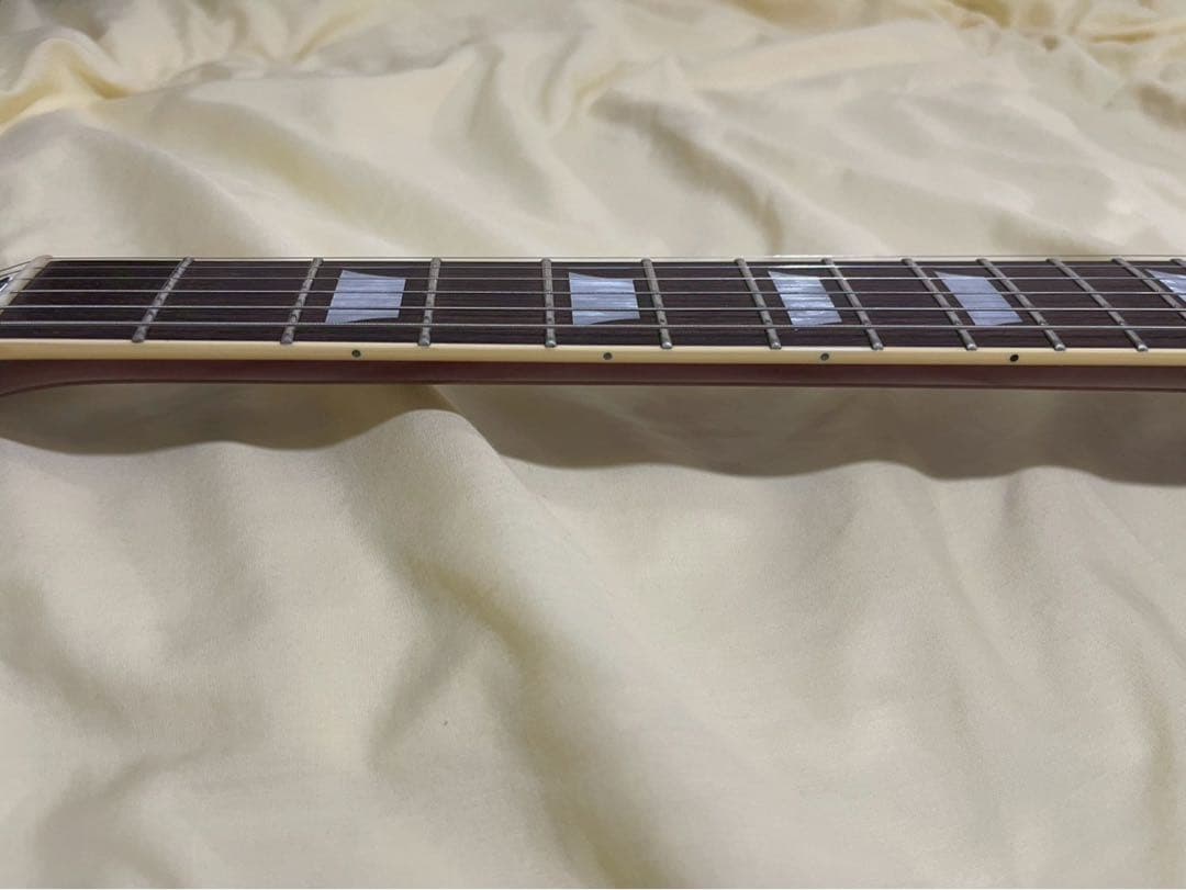 A*P様 Fernandes burny RLG-90 VH-1 hardcas