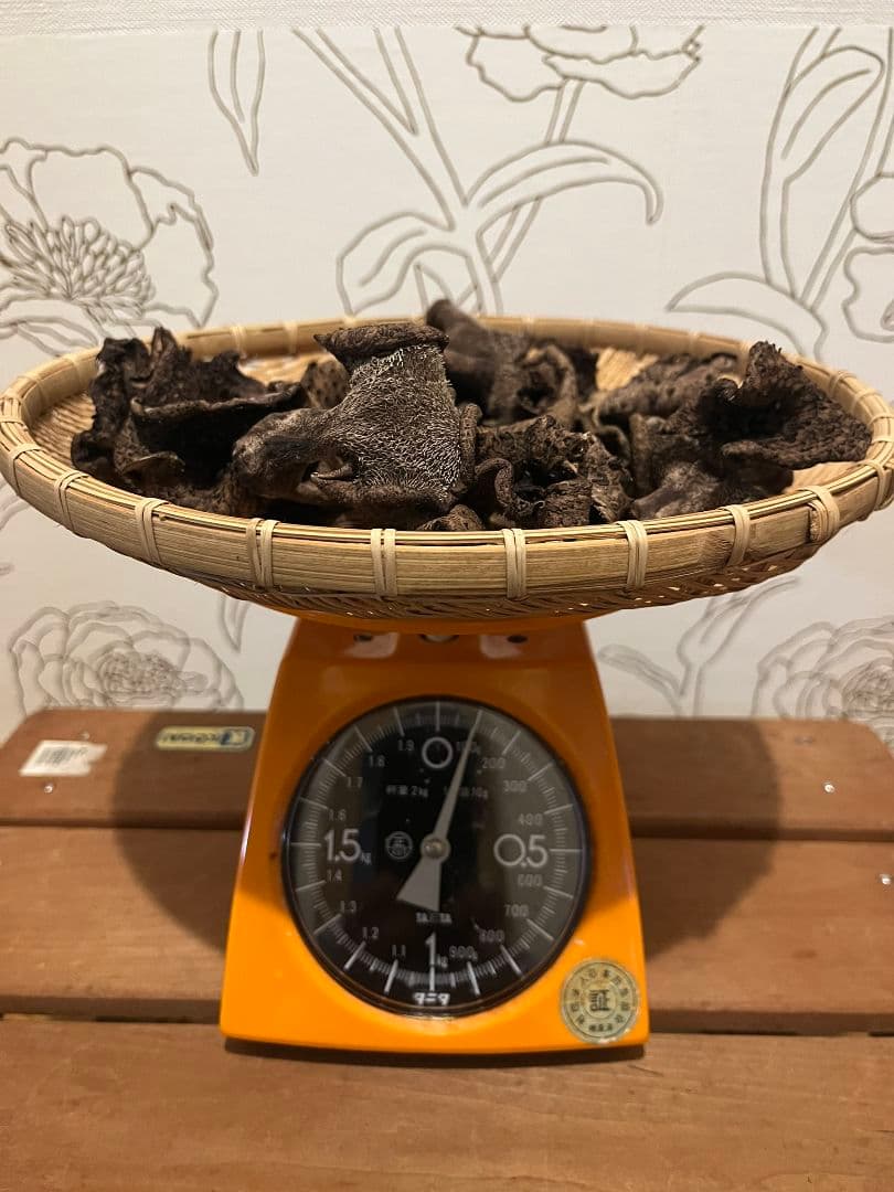 岩手県産 乾燥 香茸 100g 2025年採取 ③