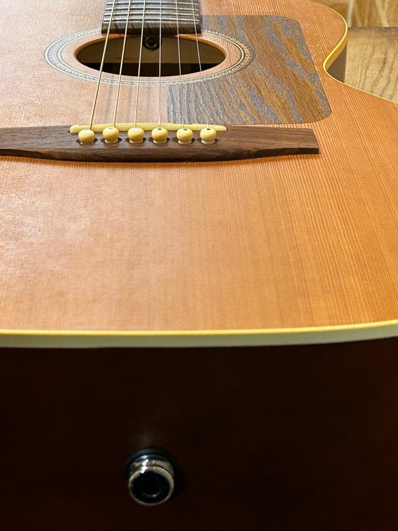 seagull grand(ハードケース付き エレアコ)