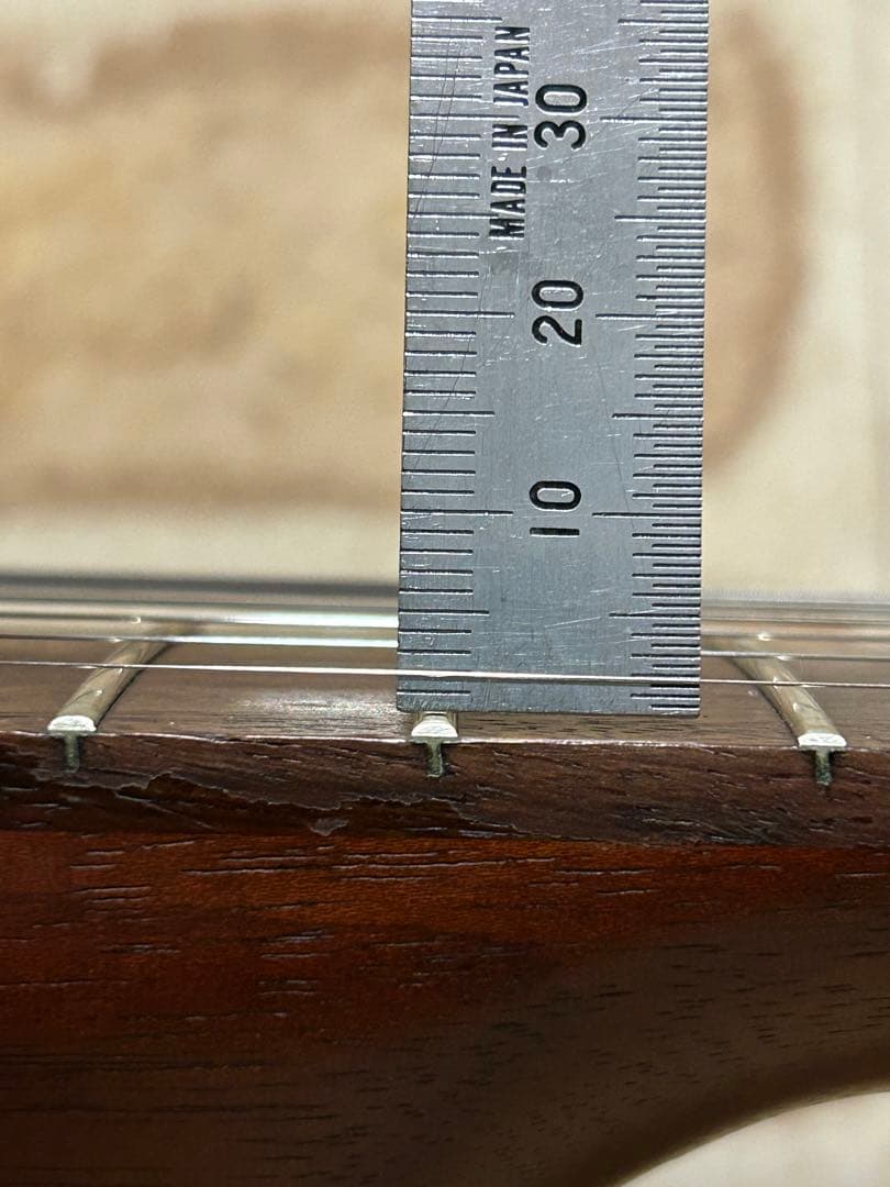 seagull grand(ハードケース付き エレアコ)