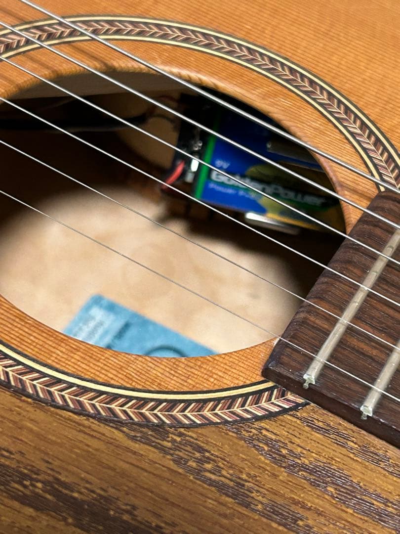 seagull grand(ハードケース付き エレアコ)