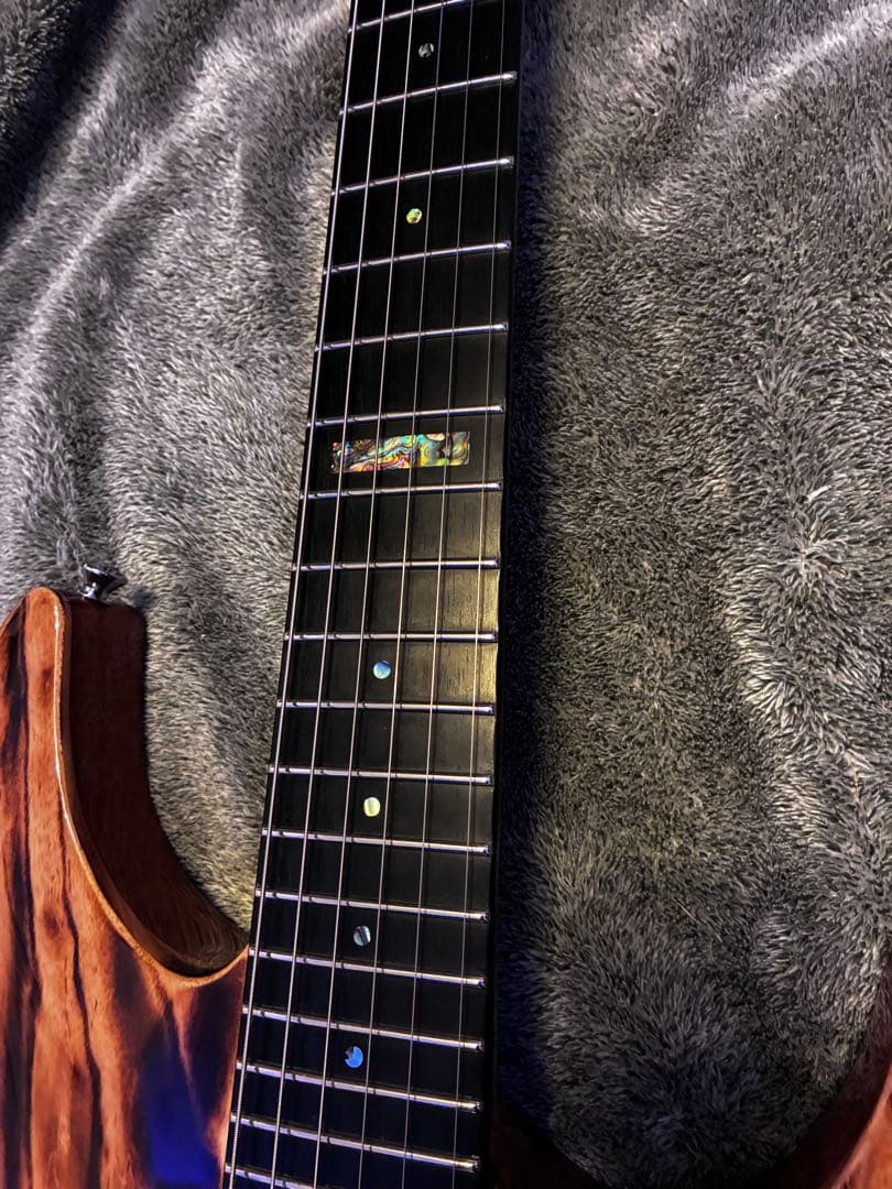 EDWARDS E-RODEOholic　GWS ロックペグ付き