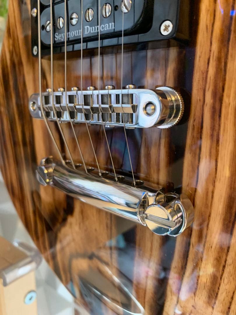 EDWARDS E-RODEOholic　GWS ロックペグ付き