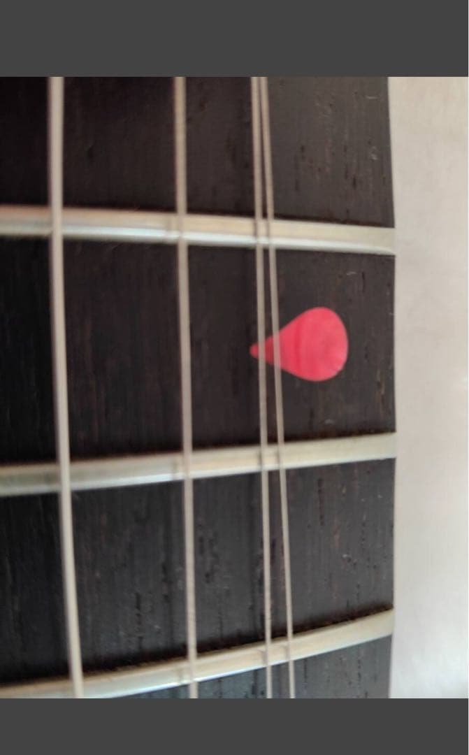 Gibson Explorer Vampire Blood Moon (美品)