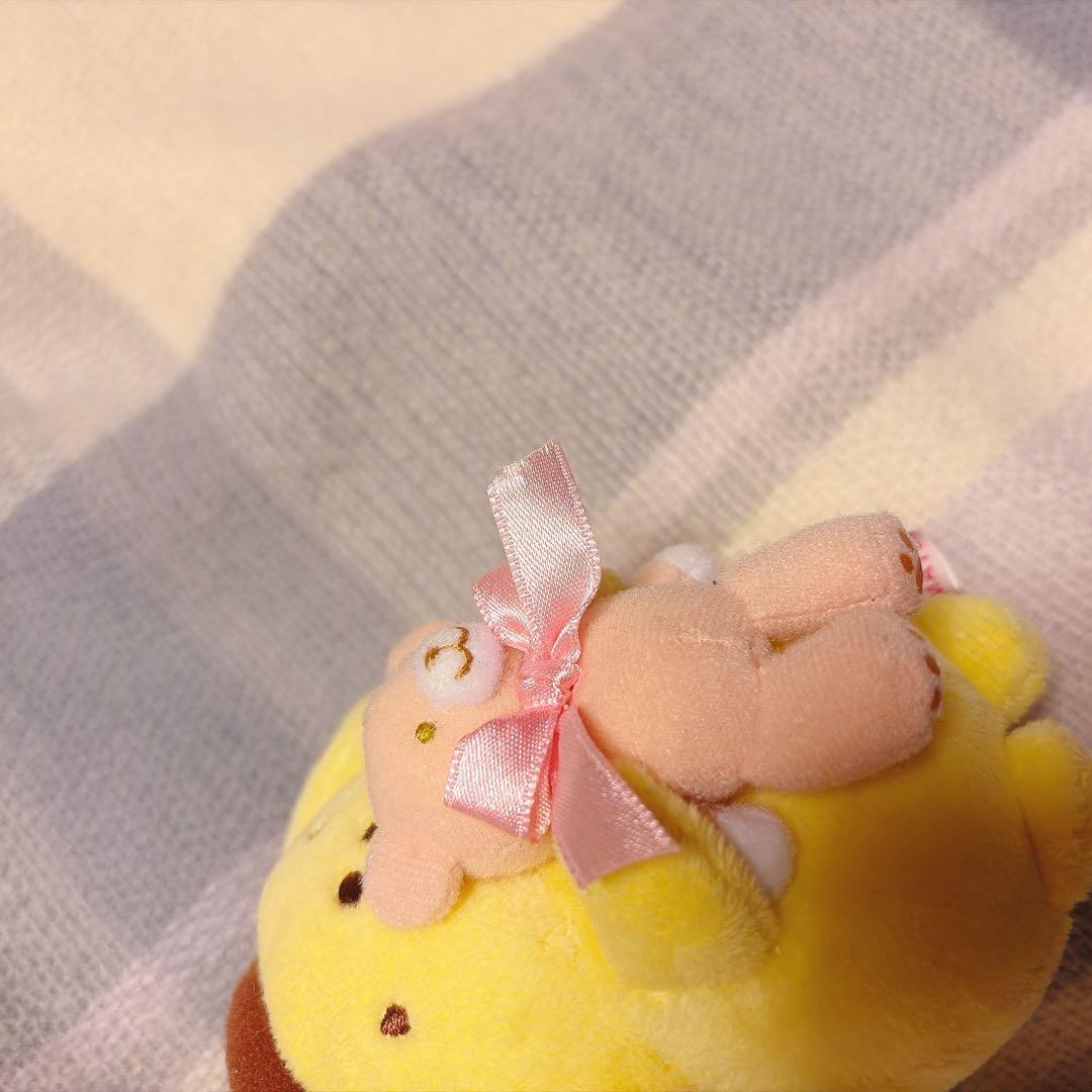 限定120個　ポムポムプリン　マスコット　くま