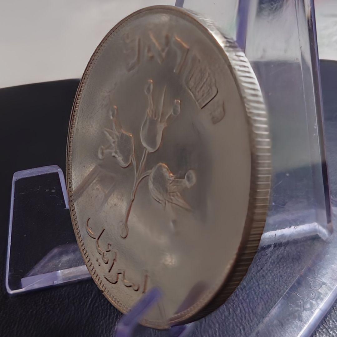 1949年 イスラエル銀貨 500プルタ ザクロとオリーブの枝 大型銀貨