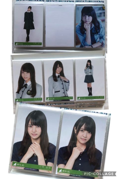 欅坂46 櫻坂46 小林由依　欅宣言　封入限定　生写真　まとめ売り