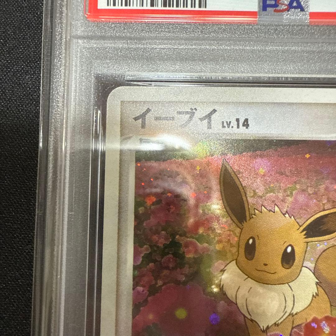 イーブイ　063/dp-p とりかえっこ　プロモ　psa9