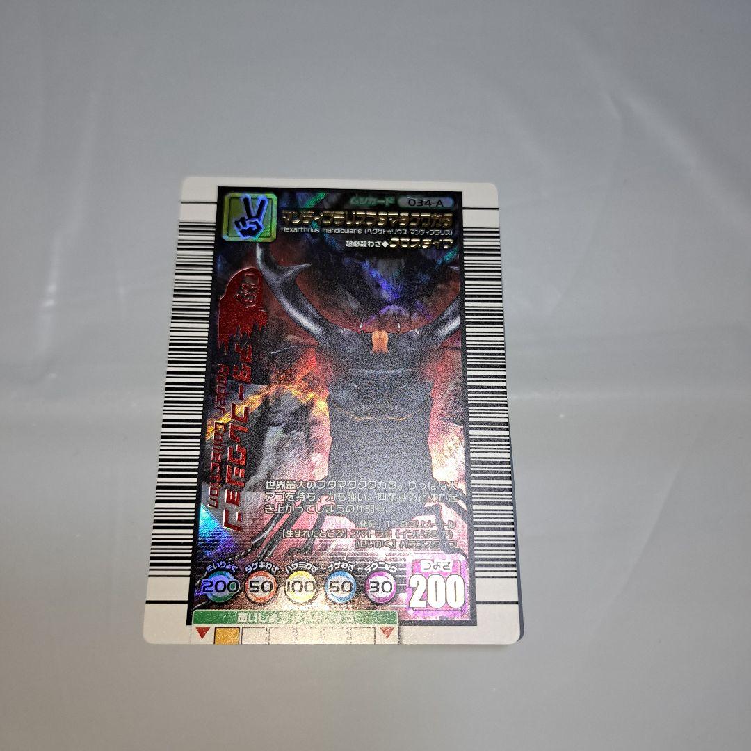 マンディブラリスフタマタクワガタ2005セカンドアダー