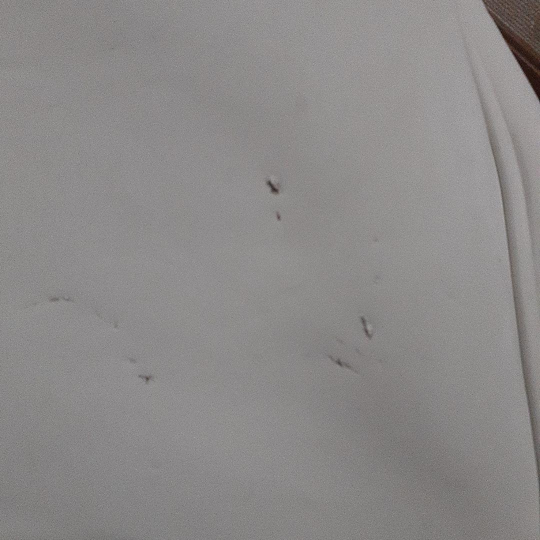 TaylorMade Spider ゴルフバッグ