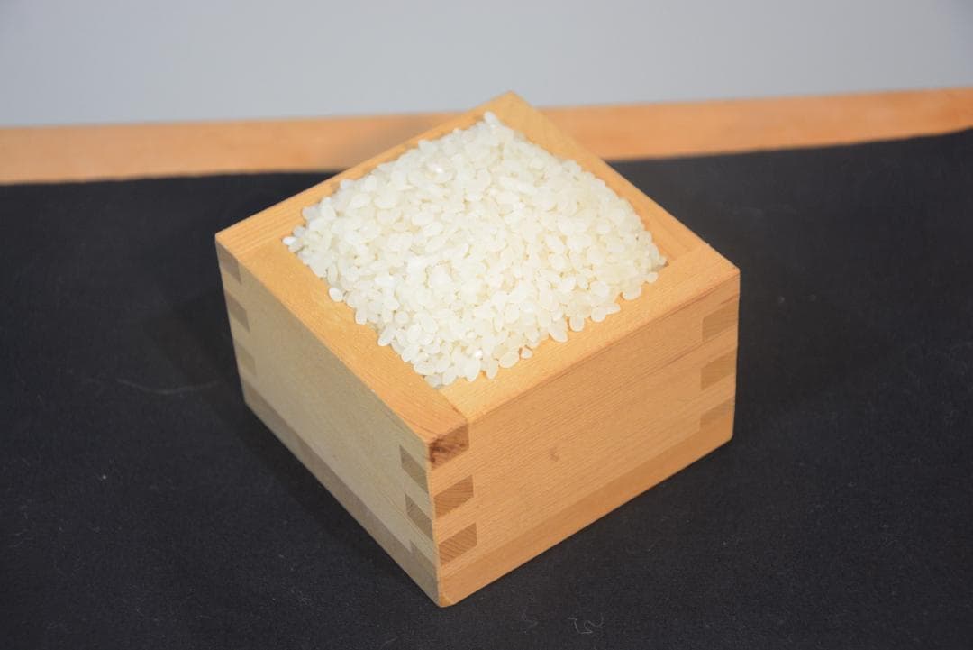 2025年朝日米10kg白米　たけ爺ブランド米 栽培期間中無化学肥料・無農薬栽培