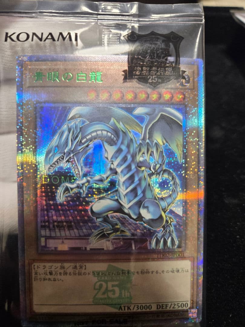 遊戯王 東京ドーム ブルーアイズ 封筒カードセット