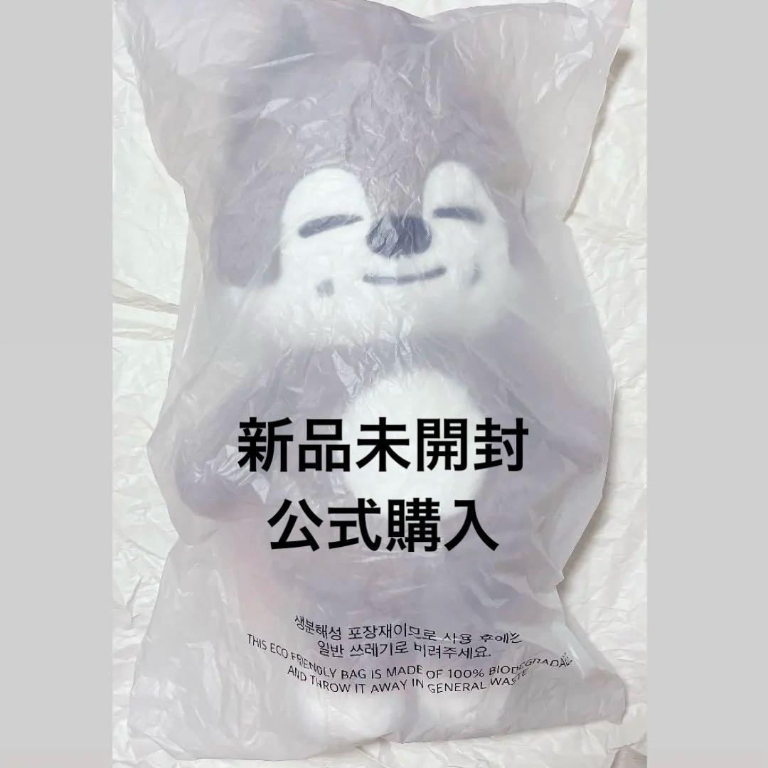 StrayKids SKZ 5clock テディベア ぬいぐるみ バンチャン