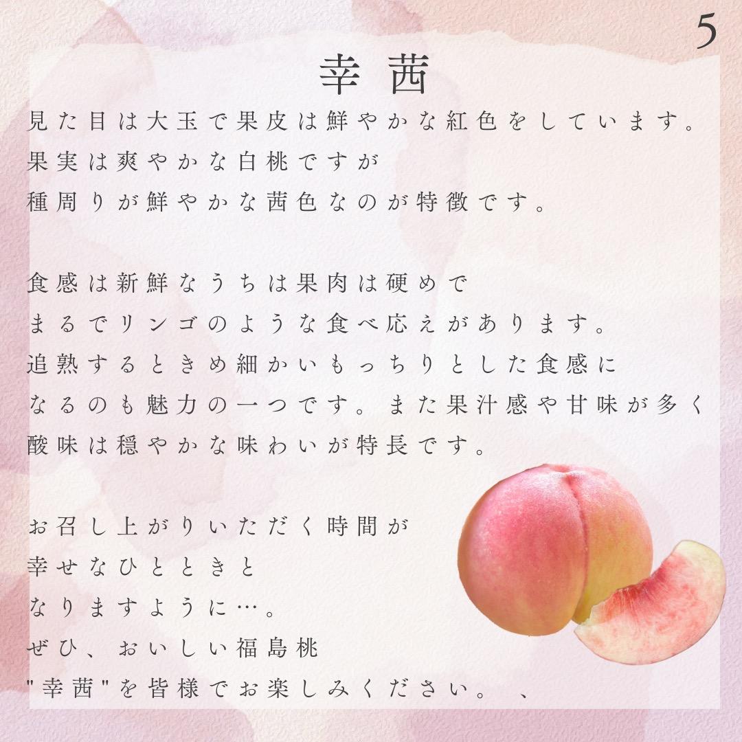 自宅用【幸茜10kg 約24-36個】