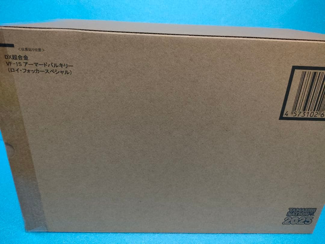DX超合金 VF-1S アーマードバルキリー（ロイ・フォッカースペシャル）
