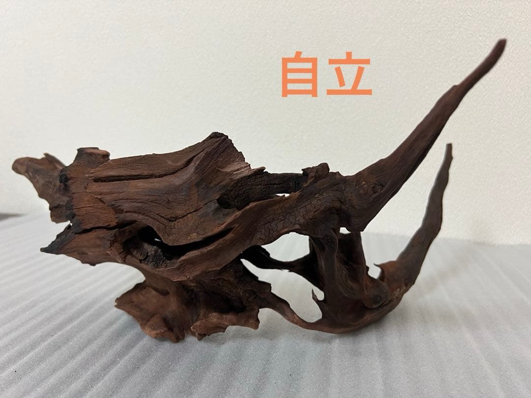 HX-095 流木　マシンガンウッド　ホーンウッド アクアリウム　ブランチウッド