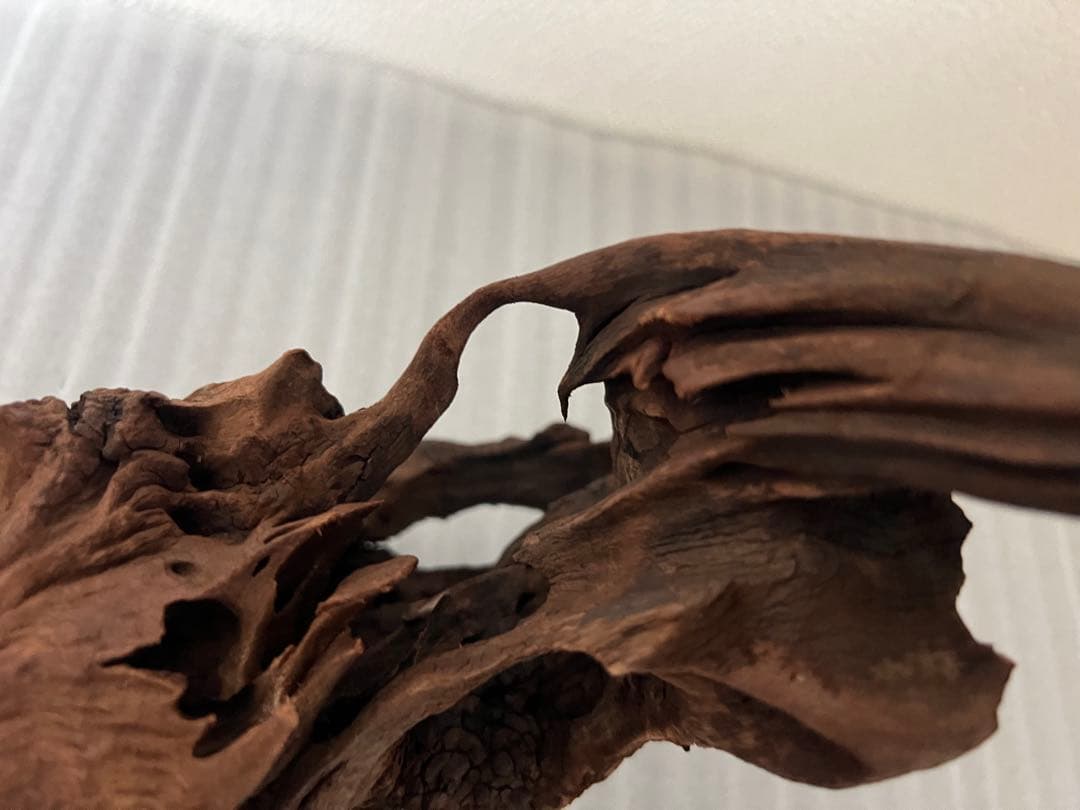 HX-095 流木　マシンガンウッド　ホーンウッド アクアリウム　ブランチウッド