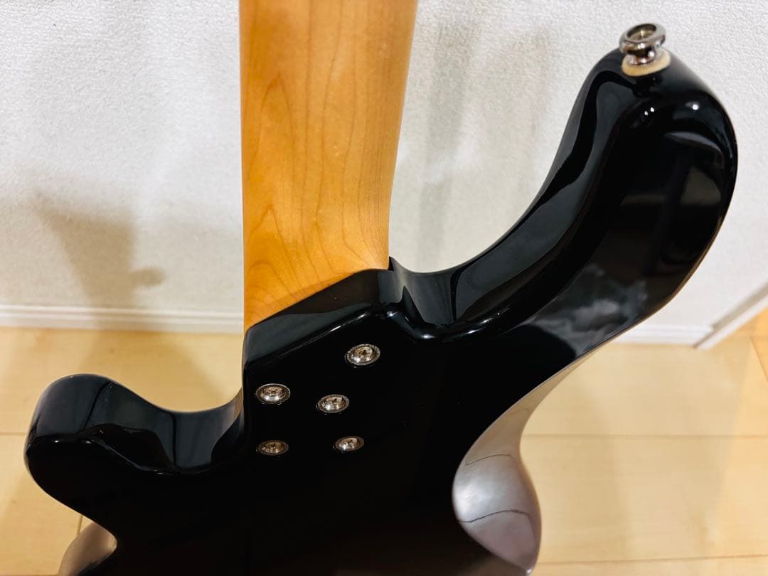 レイクランド　LAKLAND Skyline Series SK-4CL