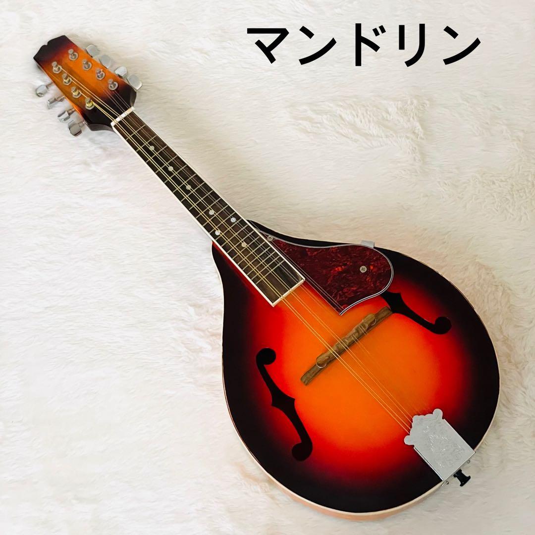 【激安】 マンドリン 8 弦 F ホール マンドリン バスウッド キ