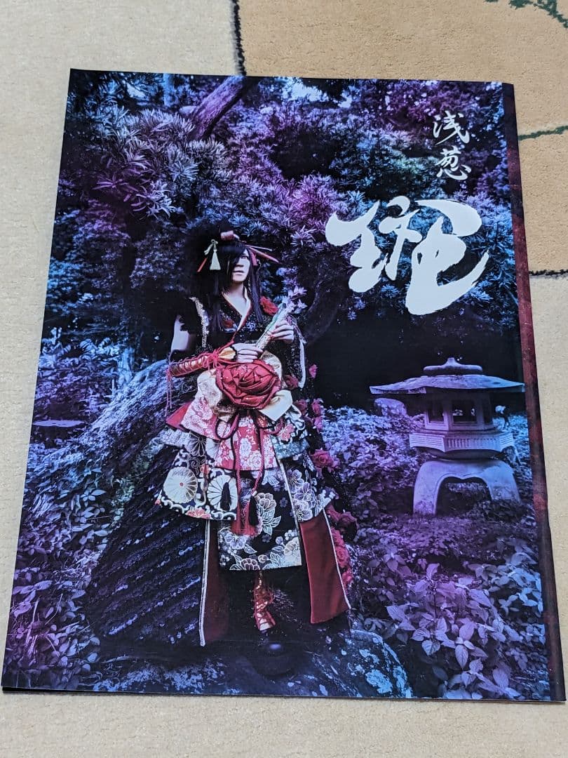 Visual系バンドD(ディー)・浅葱 グッズ17点まとめ売り