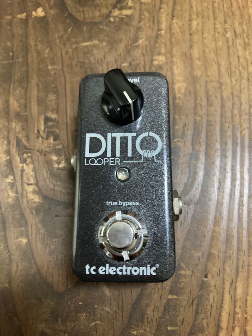 tc electronic DITTO LOOPER ルーパーエフェクター