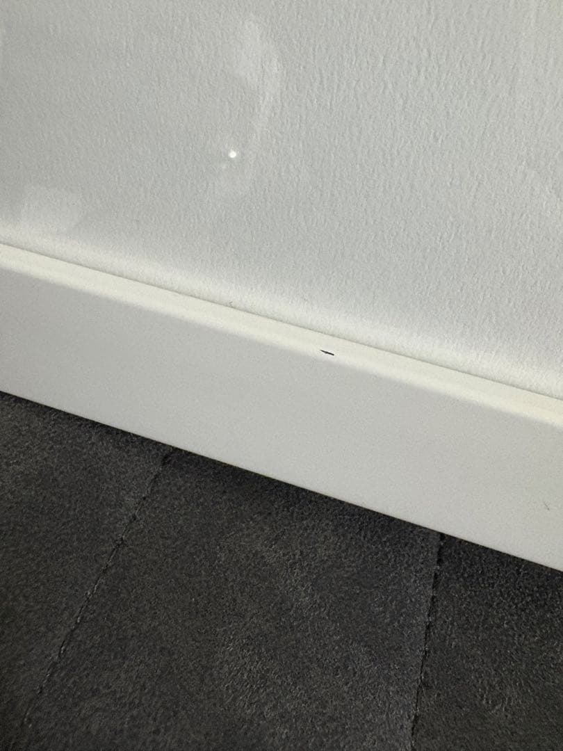 ジョジョ　複製原画　承太郎とイギー