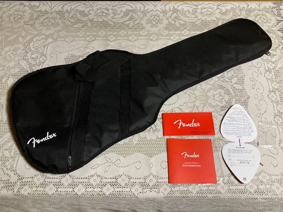 Fender Telecaster Thinline “BiSH”