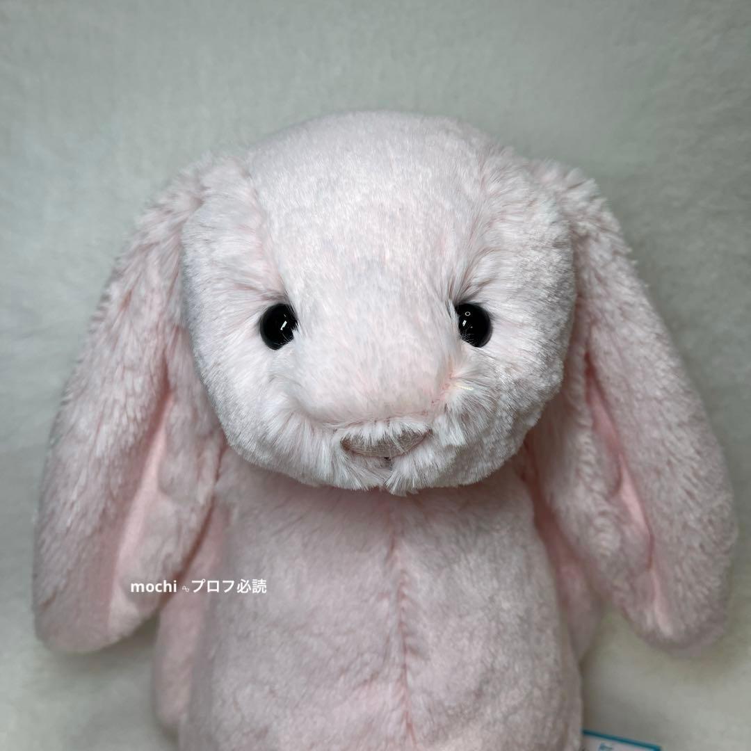  Bashful Pink Bunny うさぎ
