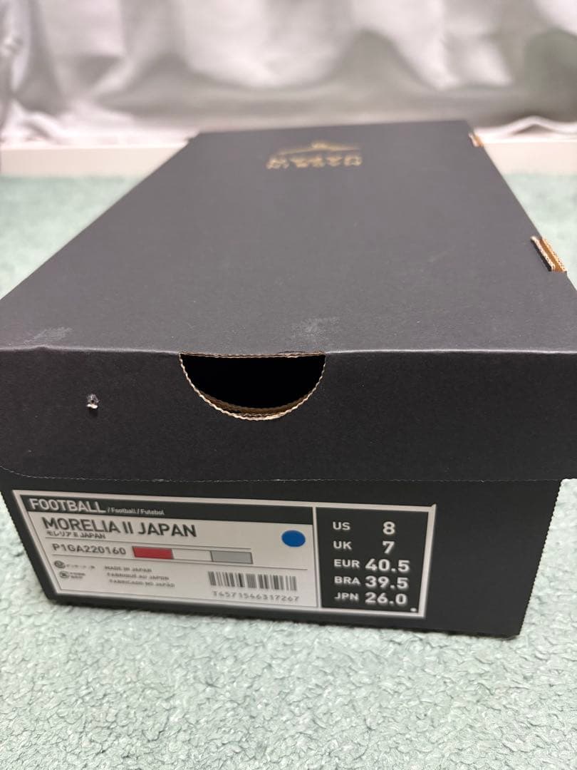 モレリア2(MORELIA Ⅱ JAPAN)
