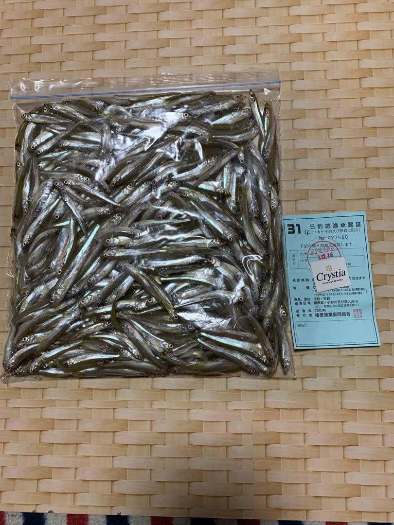 オススメ　ワカサギ　ステンレス穂先　全長約260ミリ　2本