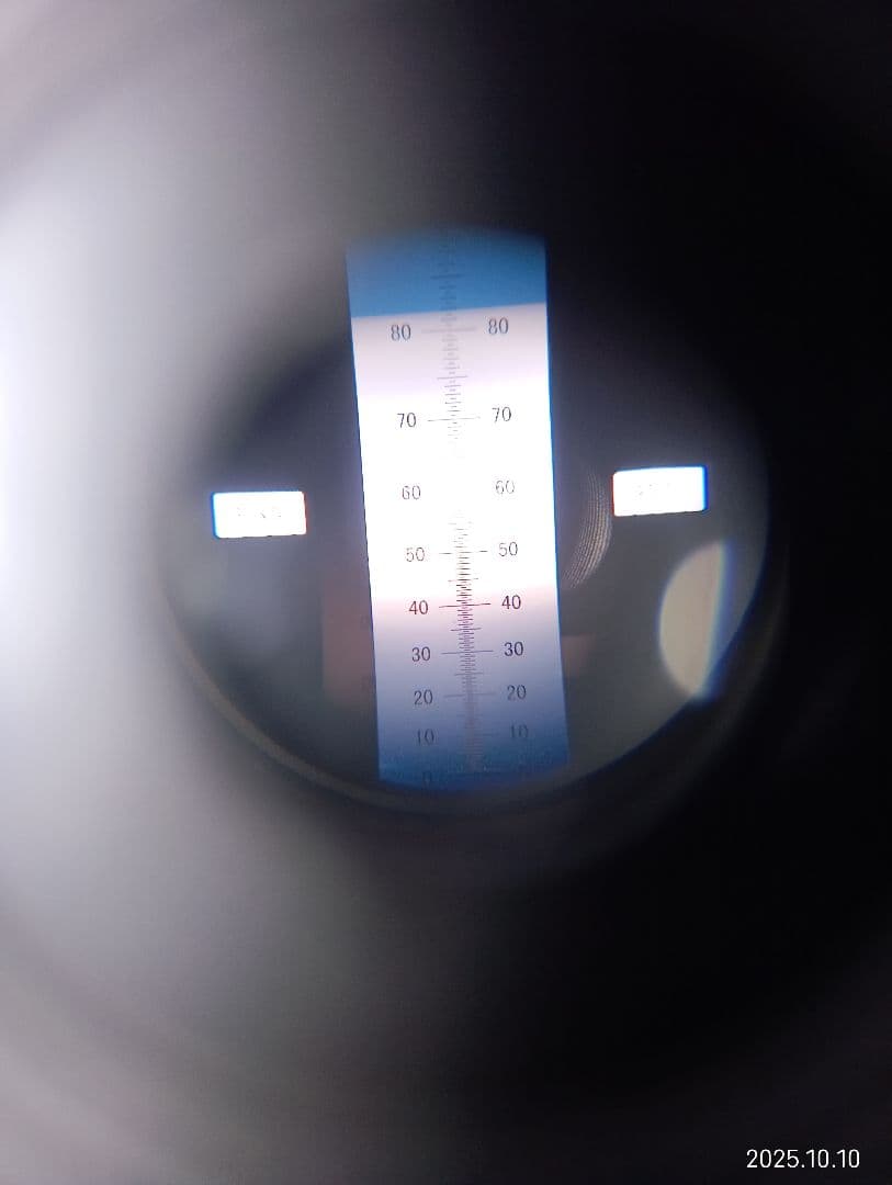 ニホンミツバチの百花蜜　天然ハチミツ　1150グラム　2本セット