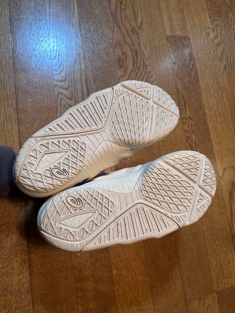 asics アンプレアルスlow2 バスケットボールシューズ