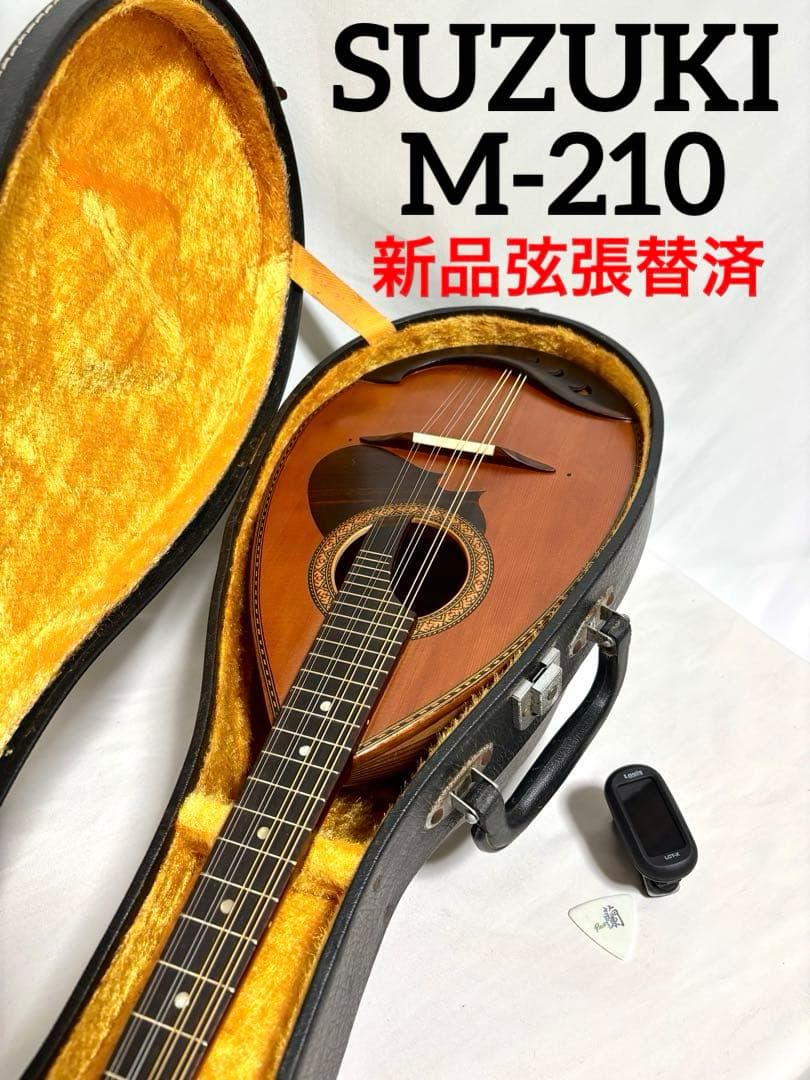 【新品弦張替済】SUZUKI マンドリン M-210 1975年製