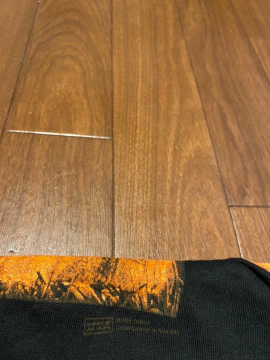 VAN HALEN BALANCE WORLD TOUR 1995 Tシャツ L