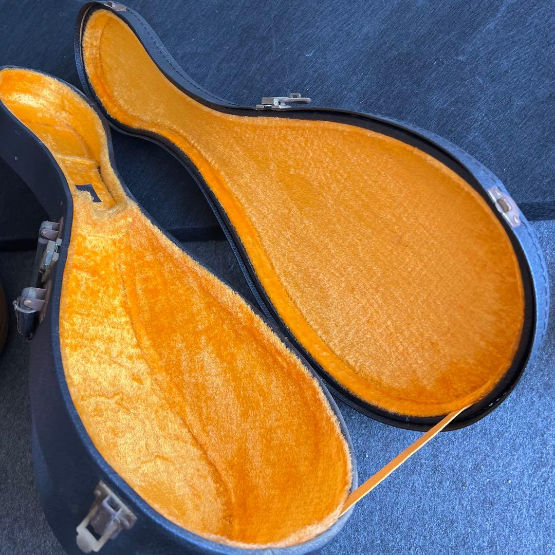 A36極美品✨　Suzuki マンドリン　M-210 1975年 弦楽器