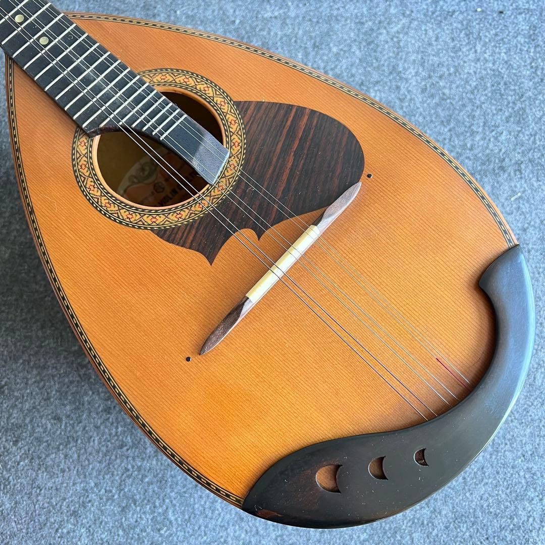 A36極美品✨　Suzuki マンドリン　M-210 1975年 弦楽器