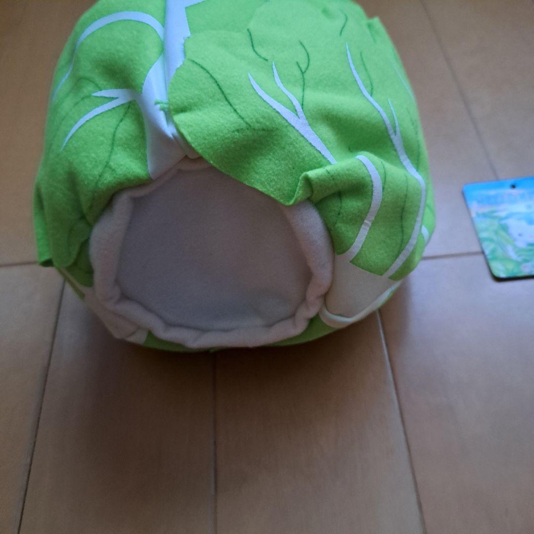 ご当地キティ　群馬限定　キャベツ　ぬいぐるみ　Mサイズ