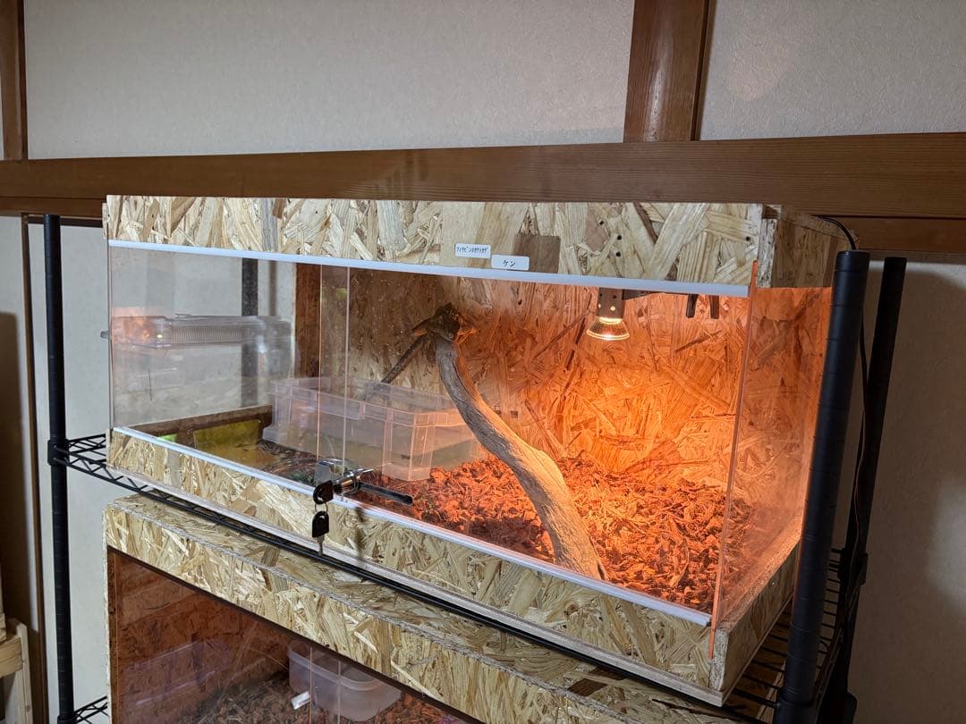 爬虫類ケージ　90×40×40 サイドアクリルレール無しタイプ　爬虫類　ペット