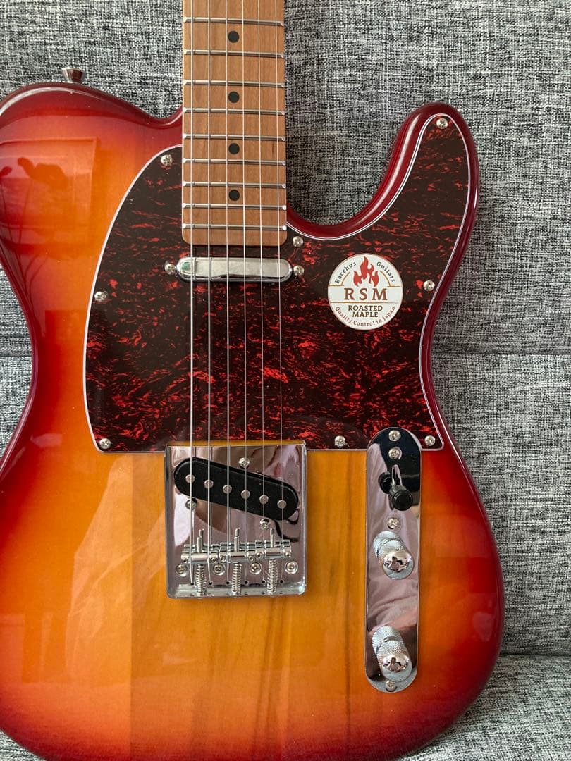 BACCHUS テレキャスタータイプ BTE-1 DX RSM/M CS