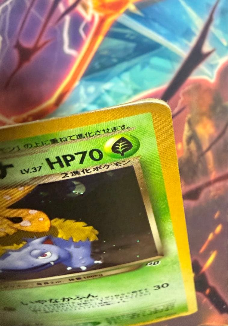 わるいフシギバナ　モンスターボールホロ　旧裏