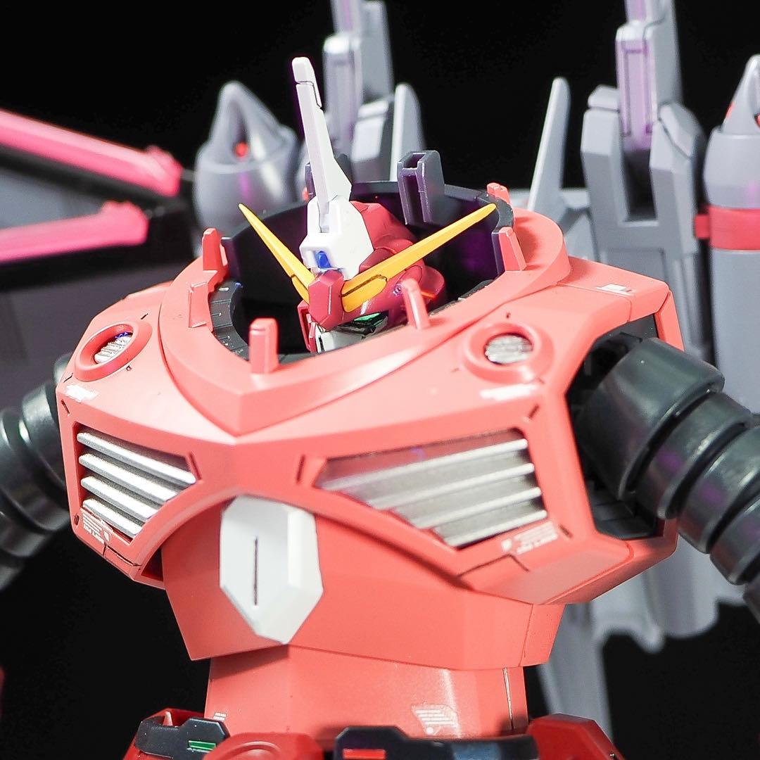 HG 1/144 ズゴック 筋彫り　塗り分け追加　全塗装　完成品　ラスト