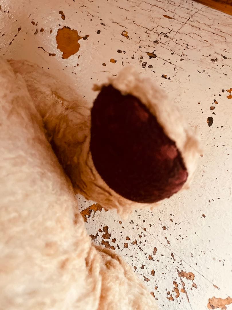 フランス　ヴィンテージベア　モコモコ♡⸝⸝⸝⸝ アンティークベア