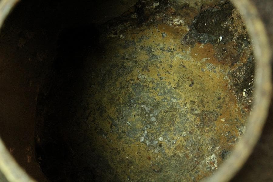 鉄瓶 野草 龍文堂(K-LC590)