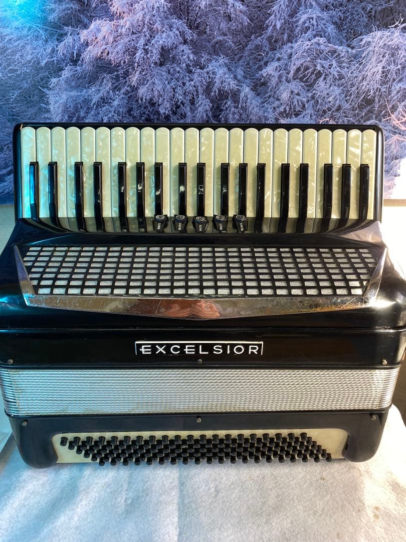 庭*修様 EXCELSIOR アコーディオン41鍵120B hz 443定評のグ