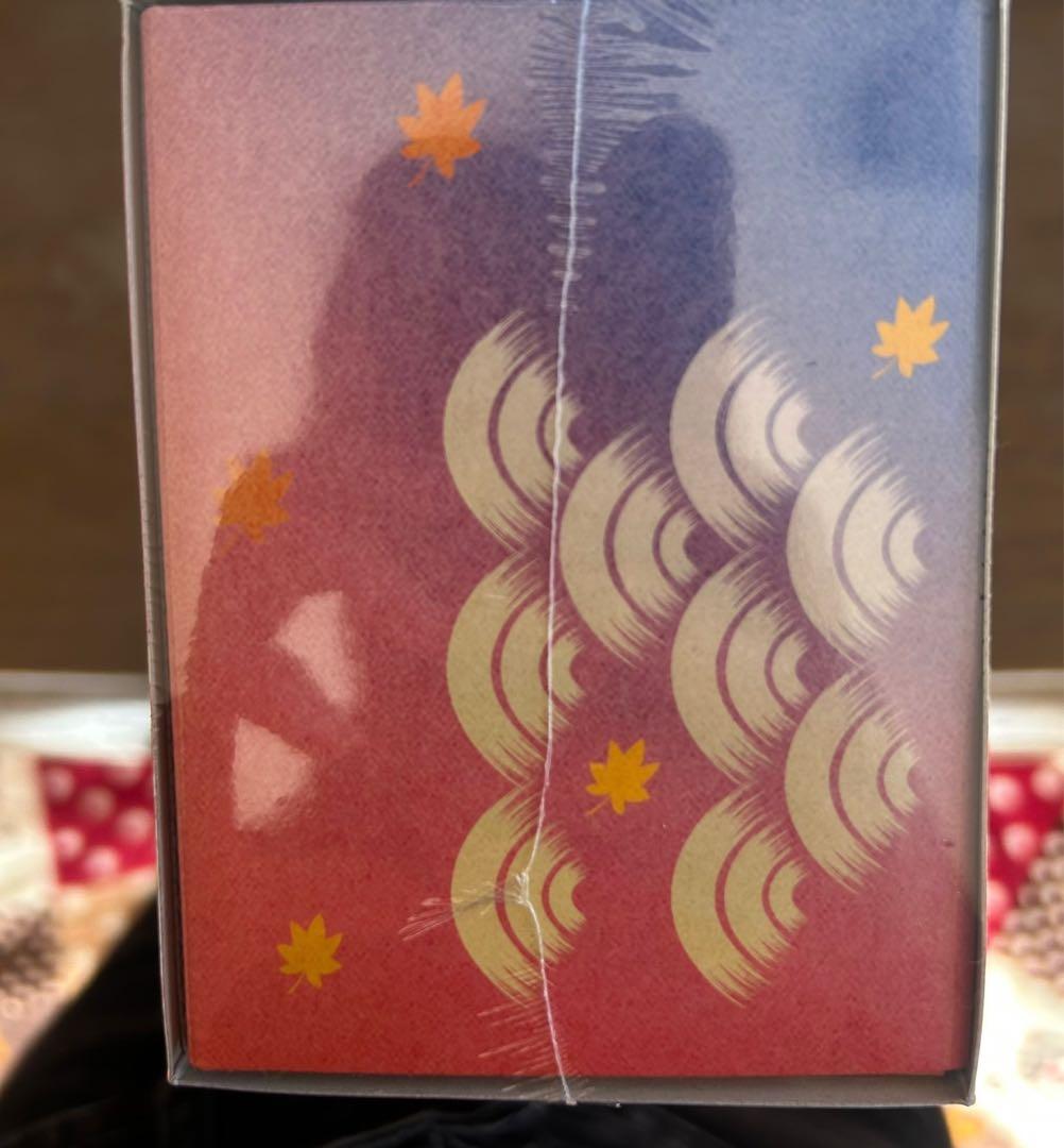 スペシャルBOX ポケモンセンター ヒロシマ 新品未開封品