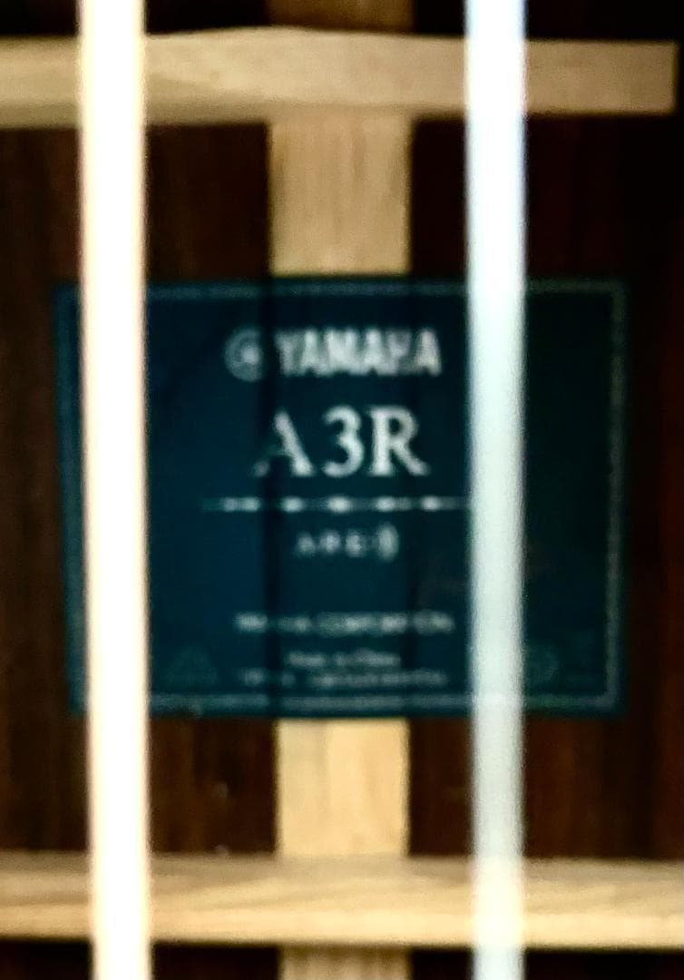 【2020年購入】限定品 ヤマハ A3R ARE BLACK エレアコ