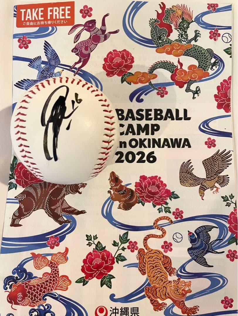 日本ハムファイターズ 達孝太 直筆サインボール 2026 沖縄キャンプ限定球