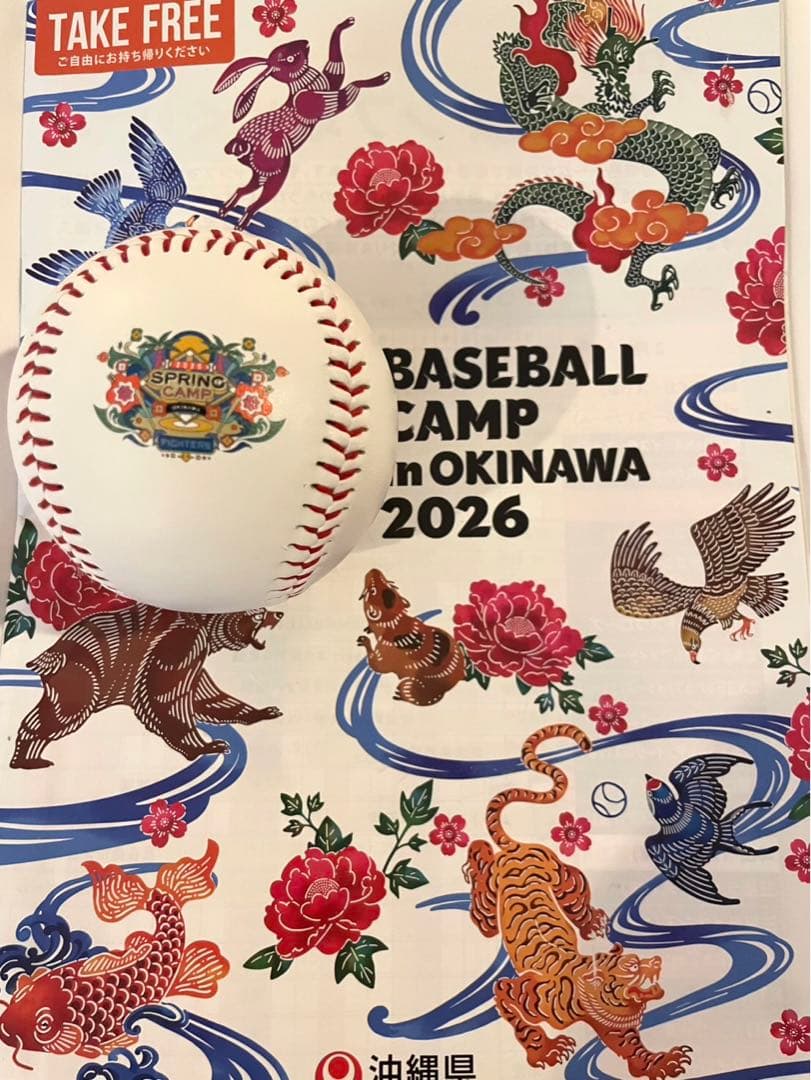 日本ハムファイターズ 達孝太 直筆サインボール 2026 沖縄キャンプ限定球